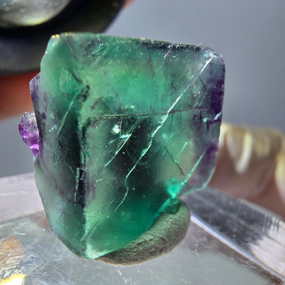 Phantom Fluorit Würfel Stufe, parkettiert grün lila Okorusu, Namibia 17*17*11mm