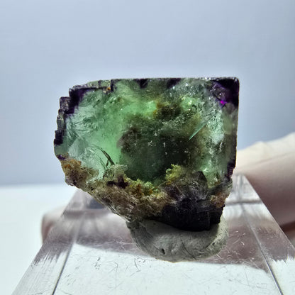 Phantom Fluorit Würfel Stufe, parkettiert, zonal Okorusu, Namibia 19*17*14mm