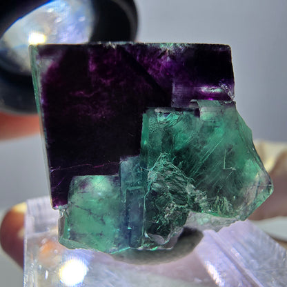 Phantom Fluorit Würfel Stufe, parkettiert grün lila Okorusu, Namibia 23*23*15mm