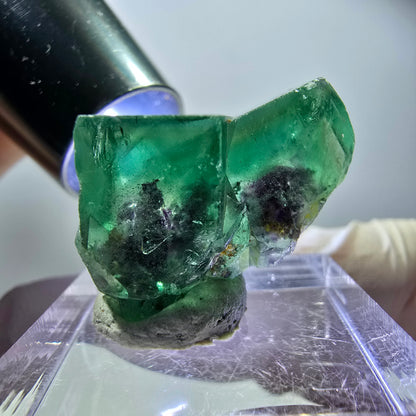 Spécimen rare de cube de fluorite, vert violet, Okorusu, Namibie, 25 x 16 x 14 mm 
