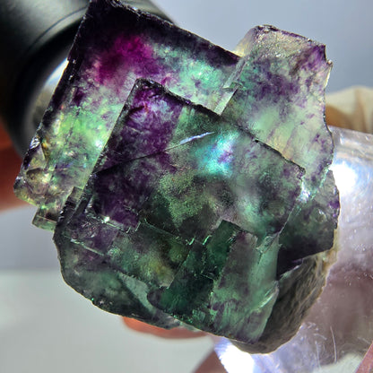 Spécimen de cube de fluorite fantôme, parqueté vert violet Okorusu, Namibie 33*25*19 mm 
