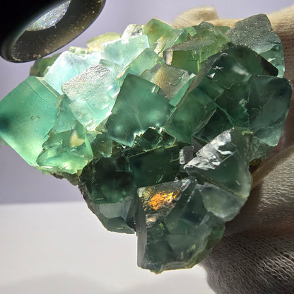 Grand spécimen de cube de fluorite fantôme, parqueté vert, Okorusu, Namibie, 104 x 82 x 43 mm 