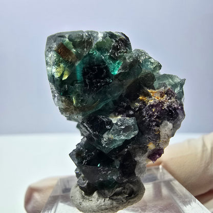 Spécimen de cube de fluorite fantôme, parquet vert Okorusu, Namibie 32 x 26 x 24 mm 