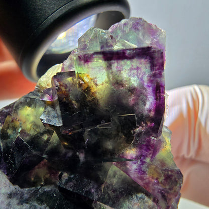 Phantom Fluorit Würfel Stufe, parkettiert grün lila Okorusu, Namibia 39*33*19mm