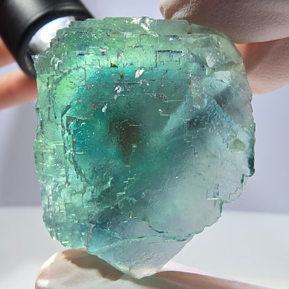 Spécimen de cube de fluorite fantôme transparente, vert parqueté, Okorusu, Namibie, 47 x 40 x 22 mm 
