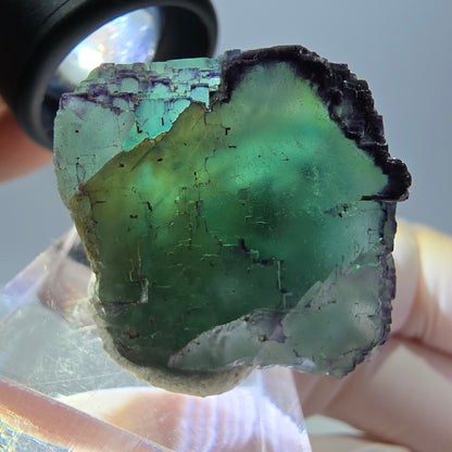 Phantom Fluorit Würfel Stufe, parkettiert, zonal Okorusu, Namibia 28*27*23mm