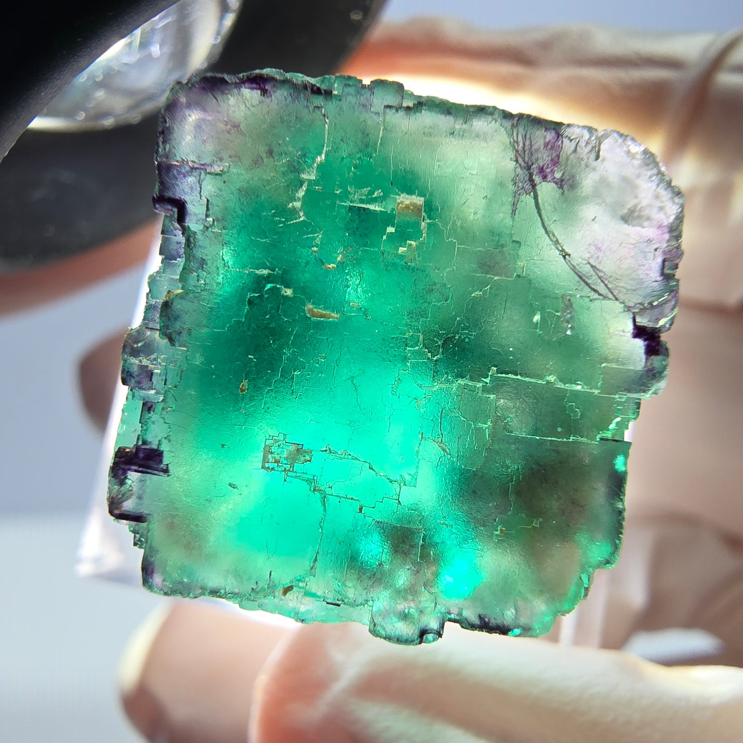 Phantom Fluorit Würfel Stufe, parkettiert grün lila Okorusu, Namibia 20*19*18mm