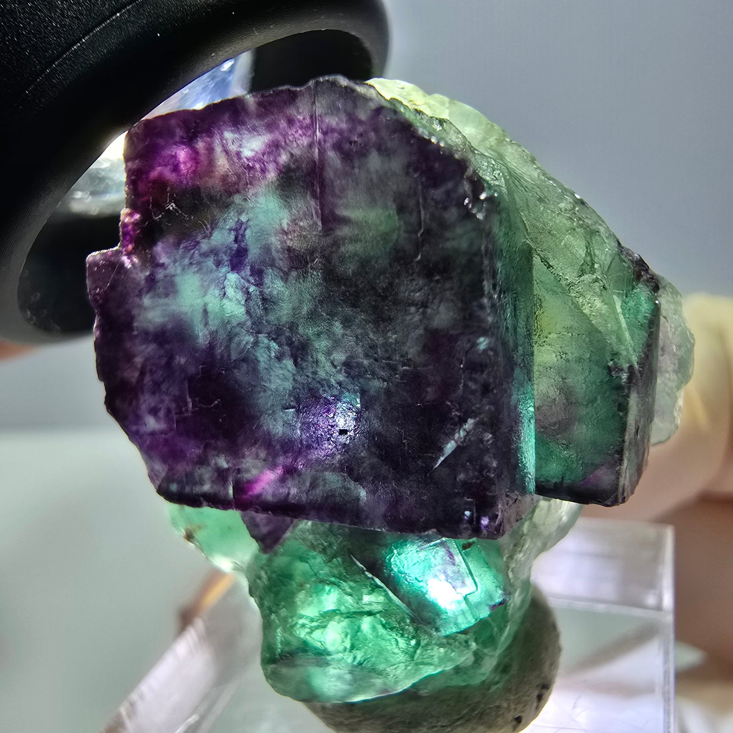 Phantom Fluorit Würfel Stufe, parkettiert grün lila Okorusu, Namibia 30*28*16mm
