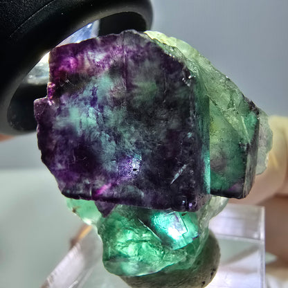 Phantom Fluorit Würfel Stufe, parkettiert grün lila Okorusu, Namibia 30*28*16mm