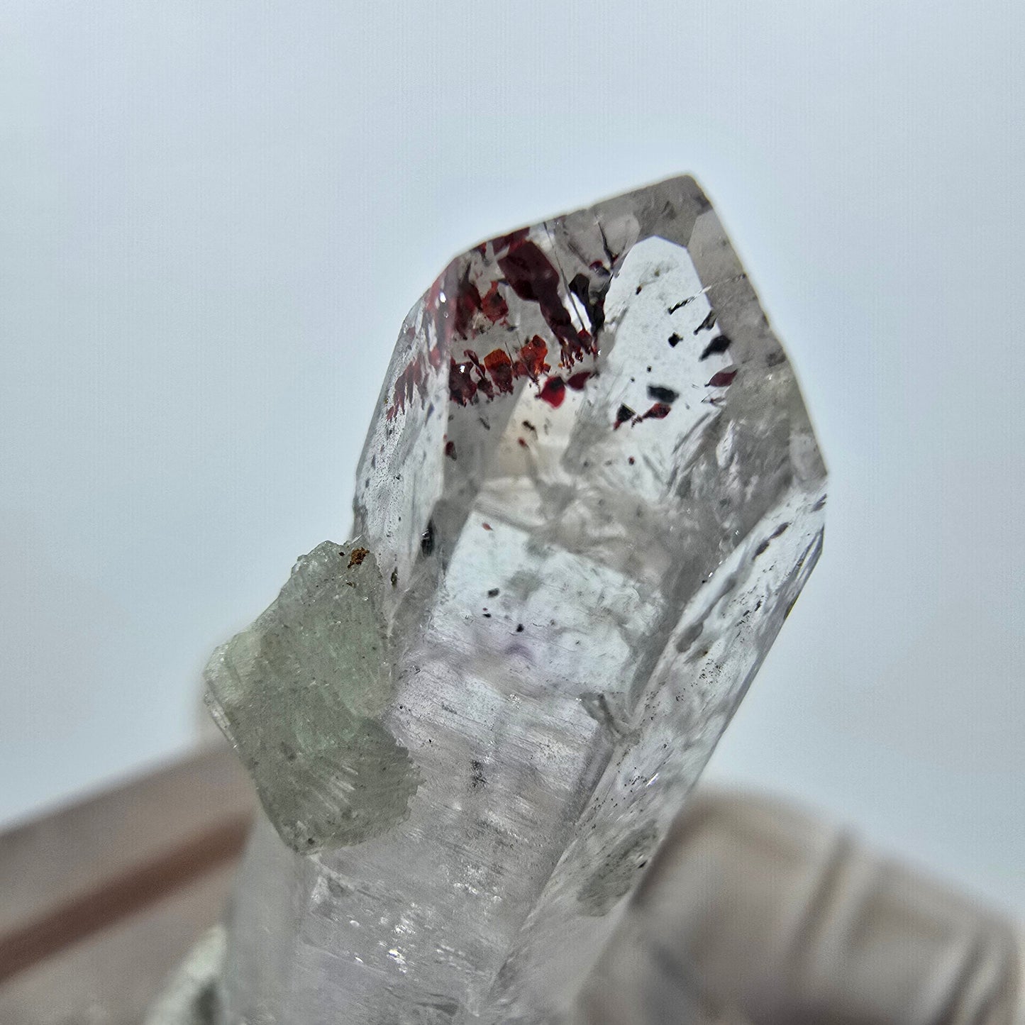 Quartz Harlequin avec préhnite Point Streep Mine, Goboboseb, Namibie 31 x 12 x 9 mm 