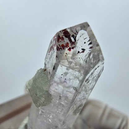 Quartz Harlequin avec préhnite Point Streep Mine, Goboboseb, Namibie 31 x 12 x 9 mm 