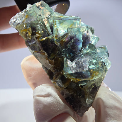 Spécimen de cube de fluorite fantôme très clair parqueté Okorusu, Namibie 49*36*26mm 