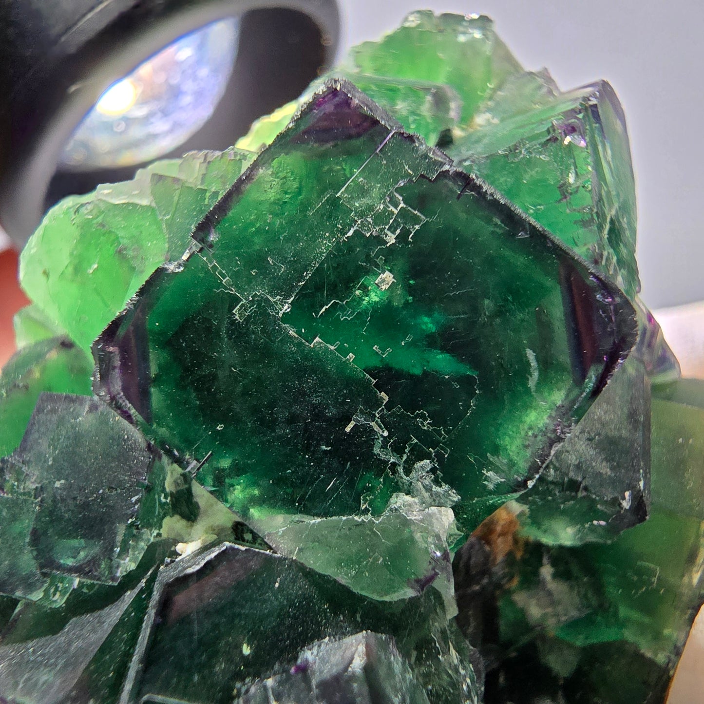 Spécimen de cube de fluorite fantôme, parqueté, zonal Okorusu, Namibie 70*45*26mm 