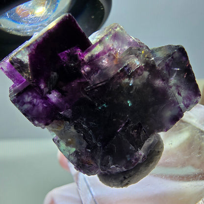 Phantom Fluorit Würfel Stufe, parkettiert grün lila Okorusu, Namibia 27*24*17mm
