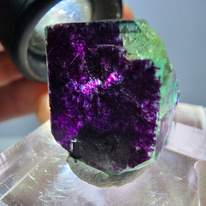 Phantom Fluorit Würfel Stufe grün lila zonal 11:11 Angel Pocket, Namibia 18*16*15mm