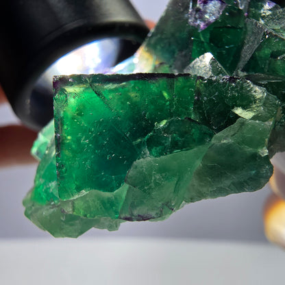 Cube de fluorite fantôme vert étagé, Okorusu, Namibie, 80 x 36 x 20 mm 