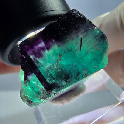 Phantom Fluorit Würfel Stufe, parkettiert grün lila Okorusu, Namibia 23*23*15mm