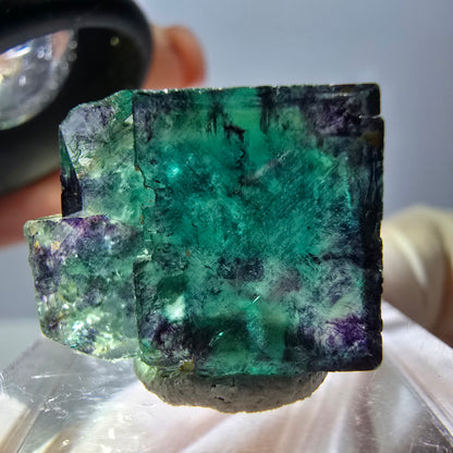 Phantom Fluorit Würfel Stufe, parkettiert grün lila Okorusu, Namibia 18*15*13mm