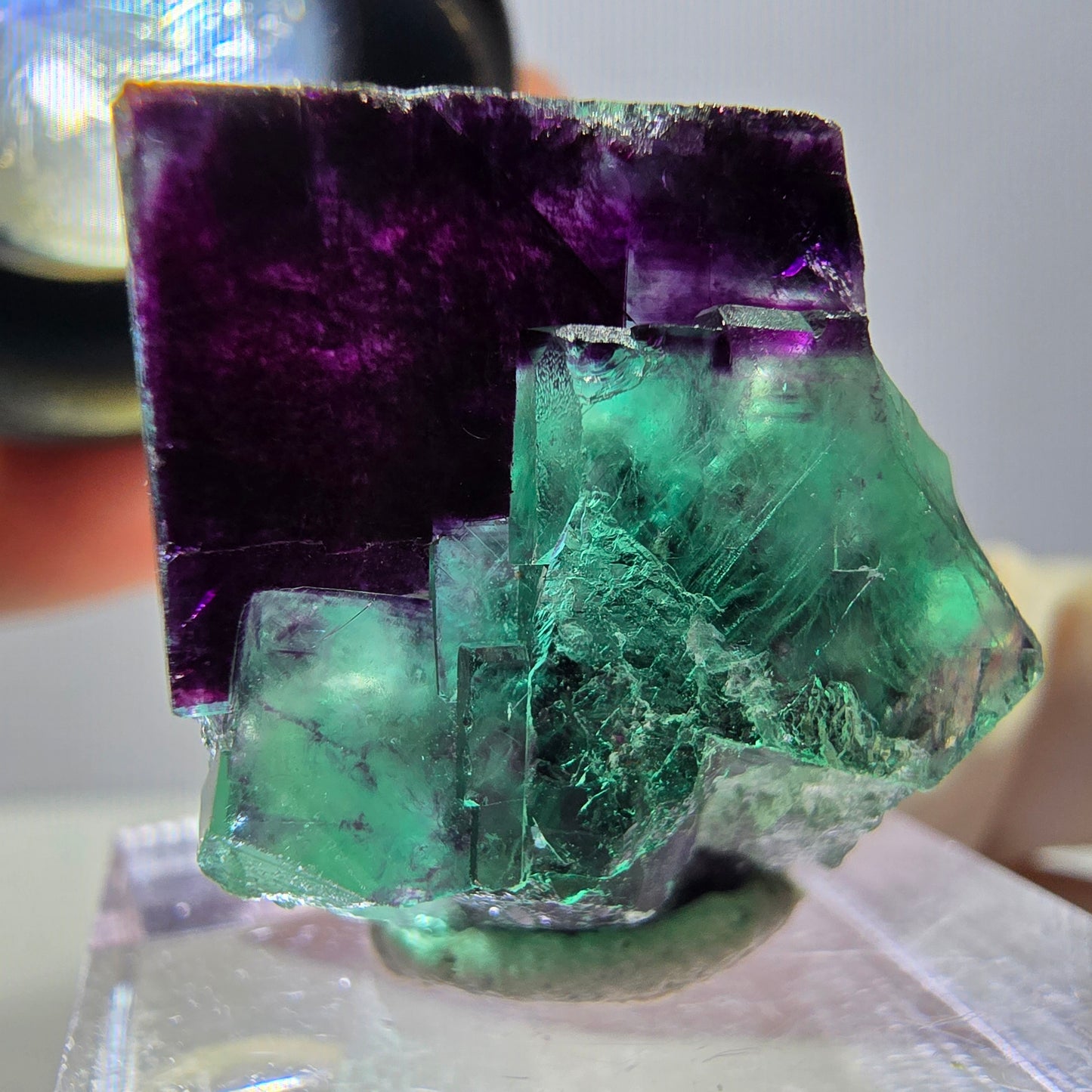 Phantom Fluorit Würfel Stufe, parkettiert grün lila Okorusu, Namibia 23*23*15mm