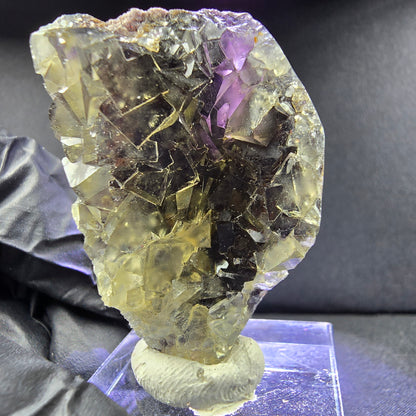 Rare Zonare Fluorite XX cube specimen yellow purple 43*28*15mm from Okorusu, Namibia