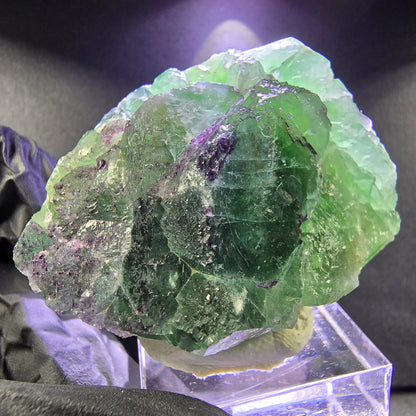 Rare zonar Phantom Fluorite XX stade vert violet 45*39*21mm Okorusu, Namibie