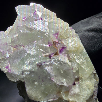 Zonare Fluorite Cube Tier Violet Vert Okorusu, Namibie 44*41*19mm Collection