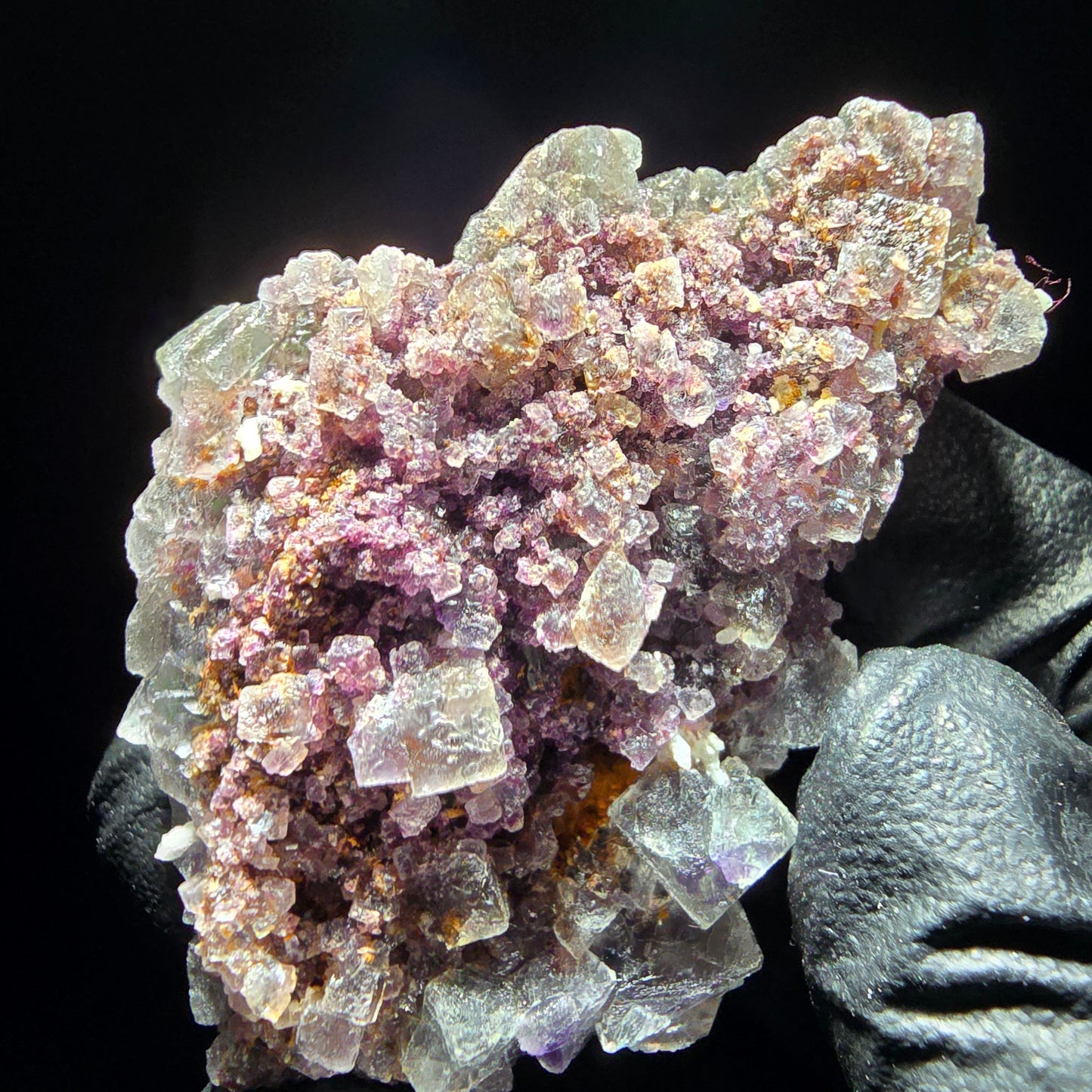 Phantom Fluorite Cube Tier Violet Vert Blanc Erongo, Namibie 55*35*21mm Collection