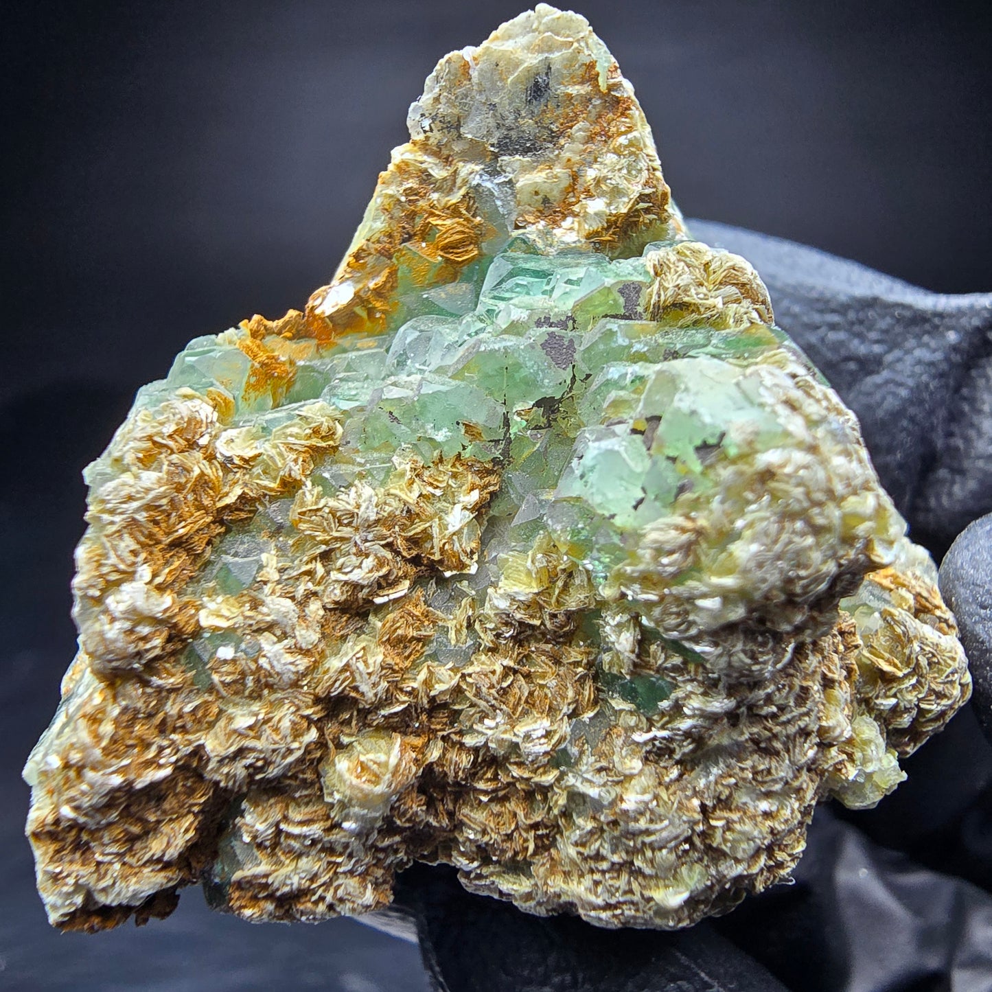 Vert fluorite étagé, étape muscovite Erongo Namibie 40*37*39mm collection