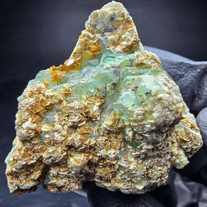 Vert fluorite étagé, étape muscovite Erongo Namibie 40*37*39mm collection
