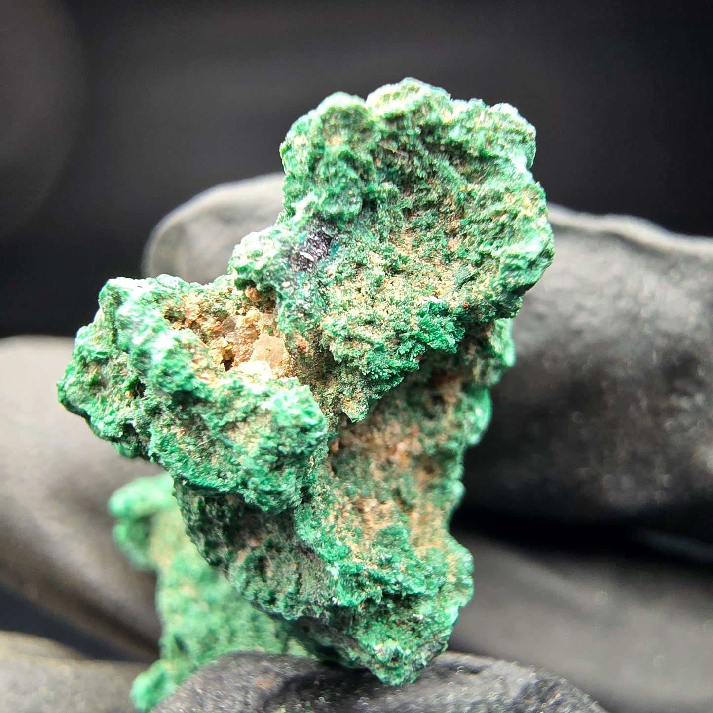 Spécimen rare de malachite, vert Kaokoveld, collection minérale 30*14*17mm namibie