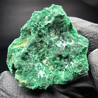 Spécimen rare de malachite, Kaokoveld vert, collection minérale namibie 24*22*16mm