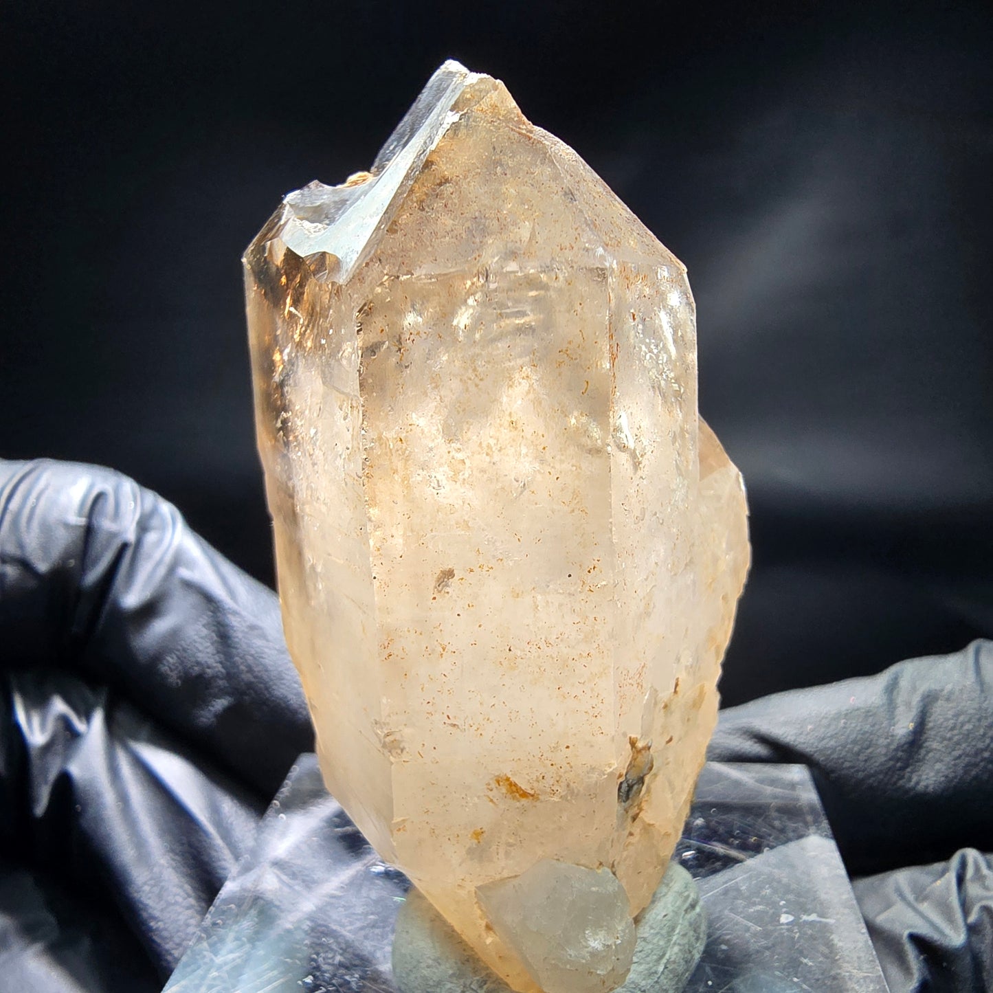 Enhydro Phantom Smoky Quartz Sceptre Tip 2x Bubble Goboboseb, Namibie 64*37*30mm 