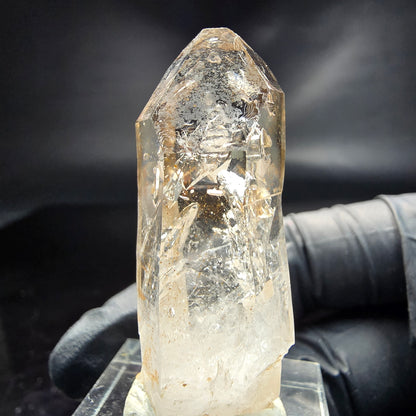 Enhydro Phantom Smoky Quartz Sceptre Tip 3x Bubble Goboboseb, Namibie 44*15*15mm 