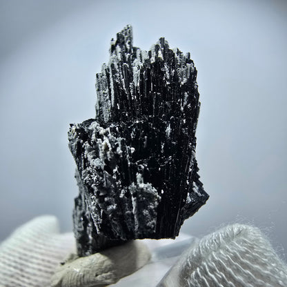 Magnifique spécimen de tourmaline Schorl et de quartz, Erongo, Namibie, 37 x 24 x 15 mm 