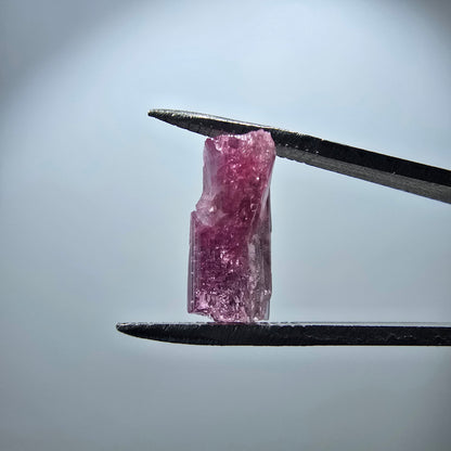 Cristal de tourmaline rubellite rare, rose Minas Gerais, Brésil 13 x 8 x 6 mm 