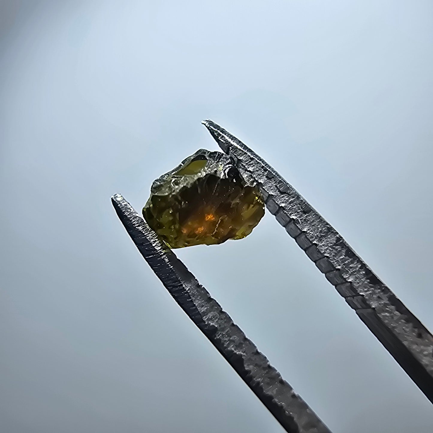 Cristal de tourmaline verdélite rare, vert Minas Gerais, Brésil #7980