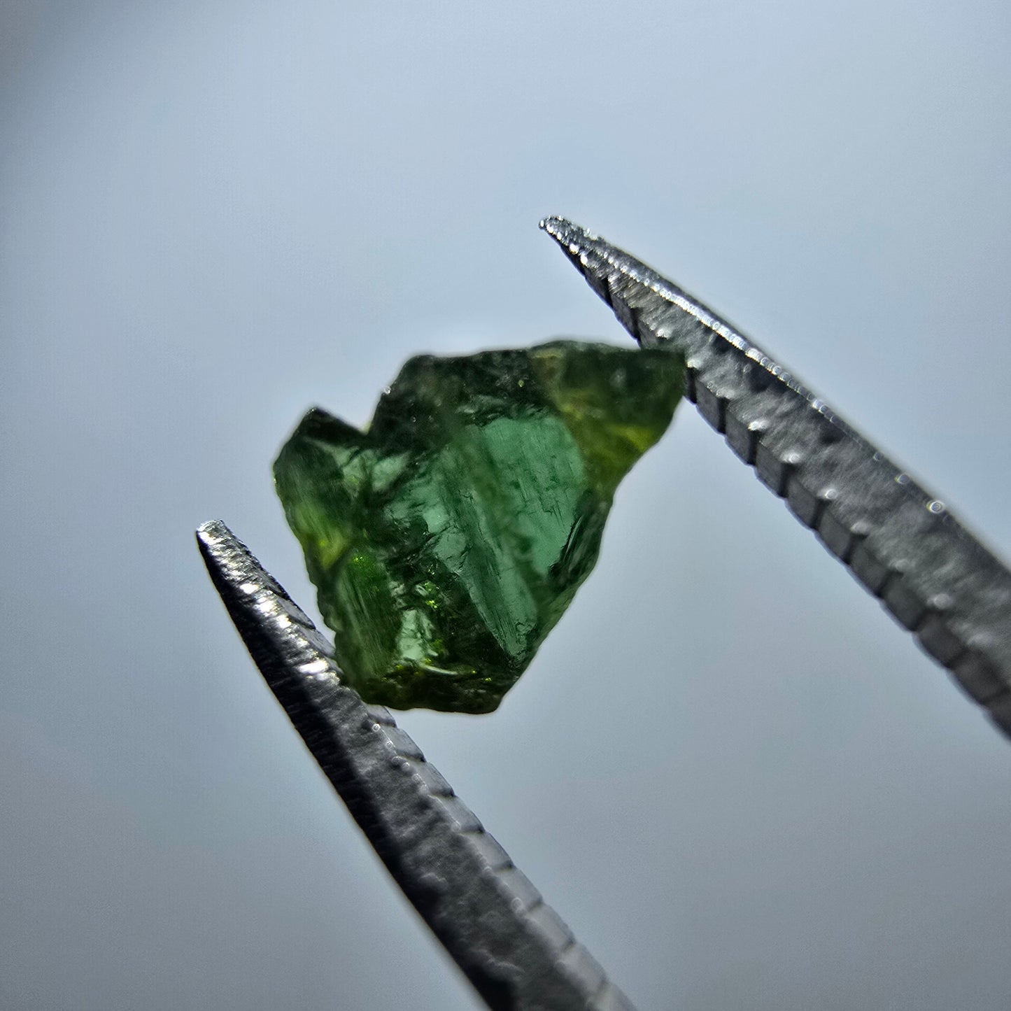 Cristal de tourmaline verdélite rare, vert Minas Gerais, Brésil #7984