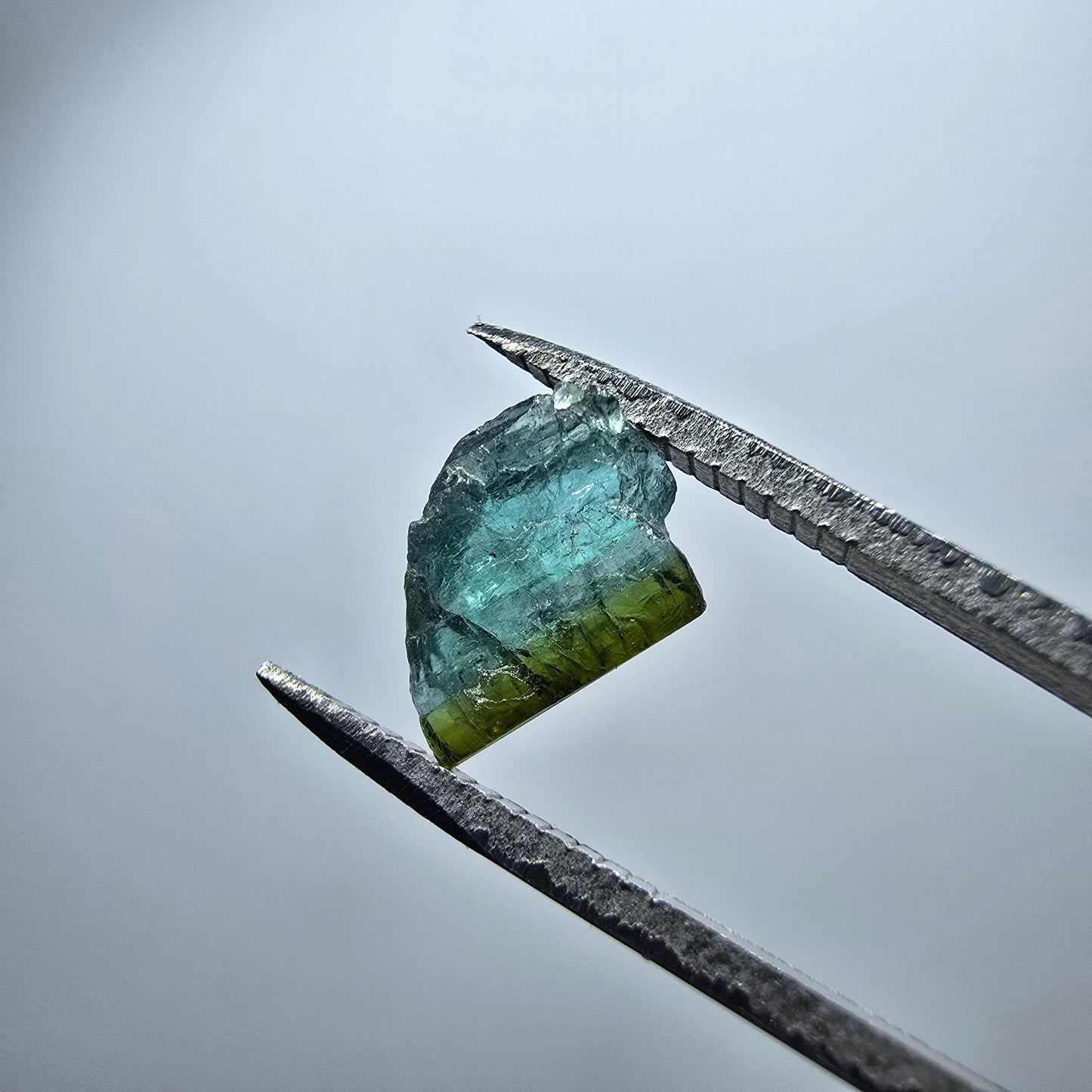 Cristal rare de tourmaline elbaïte, vert bleu Minas Gerais, Brésil #7986