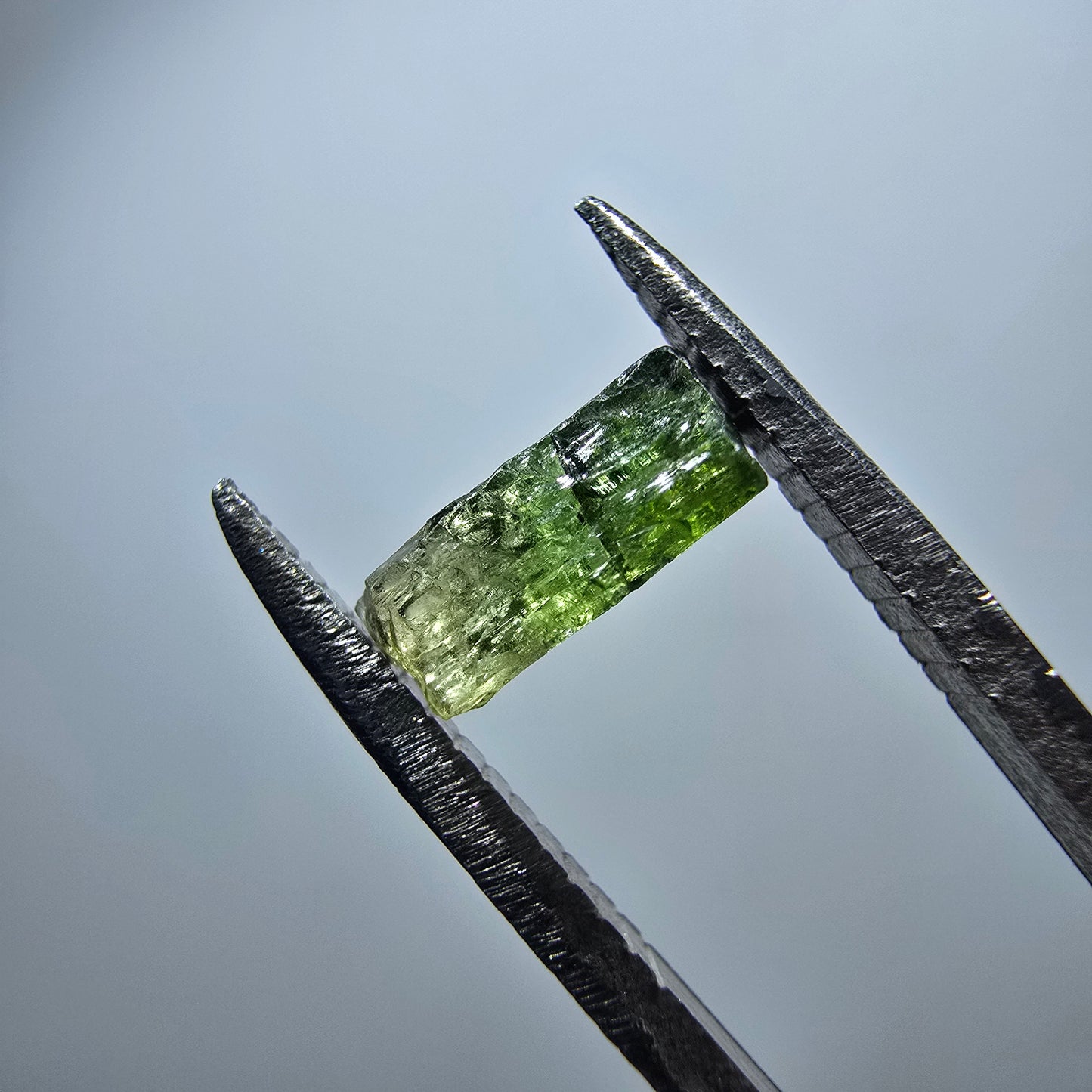 Cristal de tourmaline verdélite rare, vert Minas Gerais, Brésil #7988