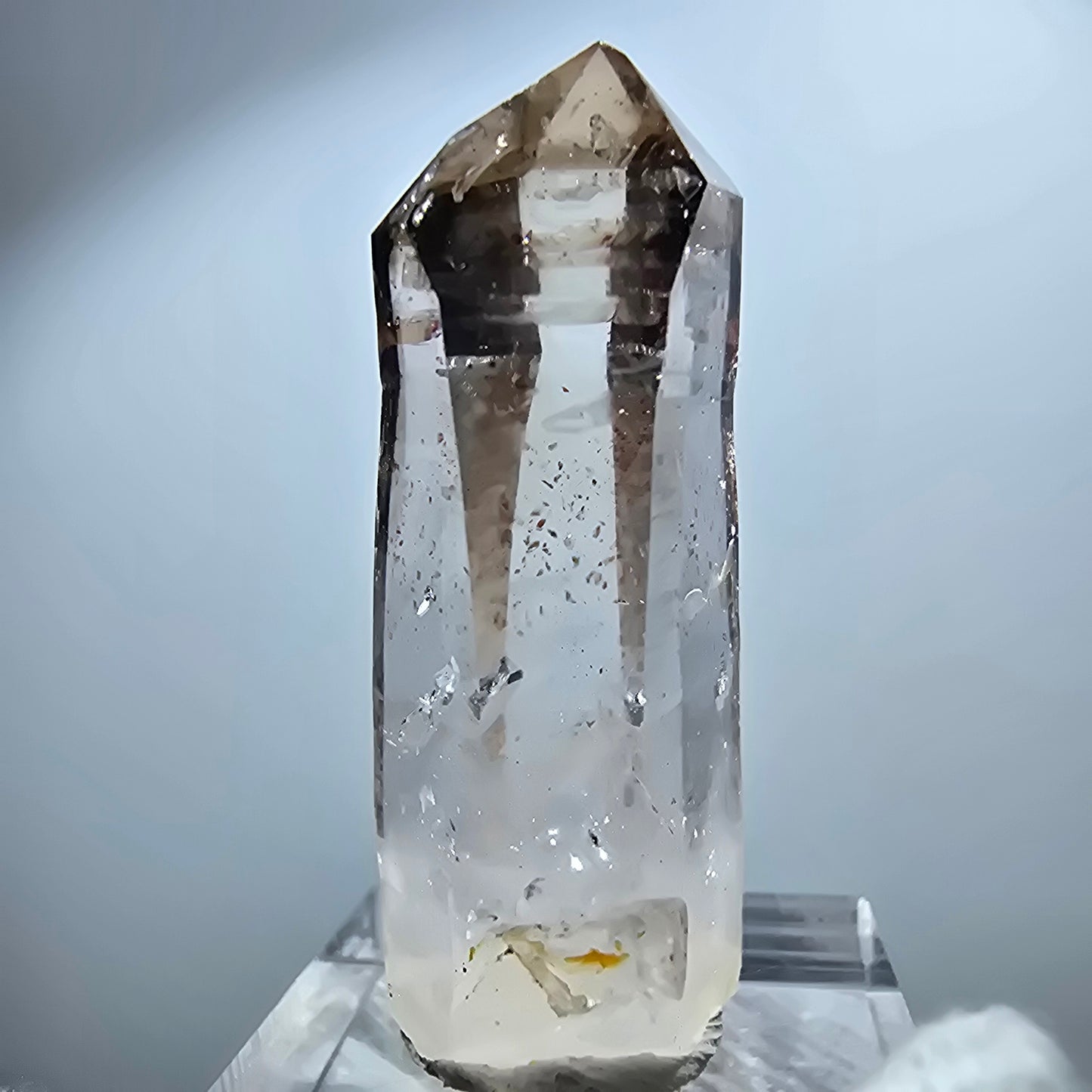 Enhydro Lemurian Phantom Rauchquarz Zepter Spitze Goboboseb, Namibia 41*18*11mm