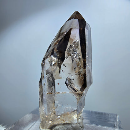 Pointe de sceptre en quartz fumé fantôme transparent, Goboboseb, Namibie, 32 x 15 x 11 mm 