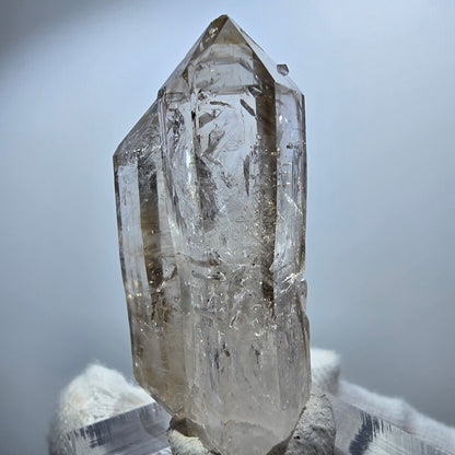 Sceptre Enhydro Phantom Smoky Quartz DT, 2x Bubble Goboboseb, Namibie 42*29*17mm