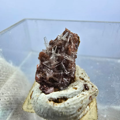 TOP Micromount Mineralien Sammlung Deutschland - 8 Stück Deutschland #8069