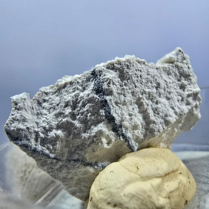TOP Micromount Mineralien Sammlung Deutschland - 8 Stück Deutschland #8072