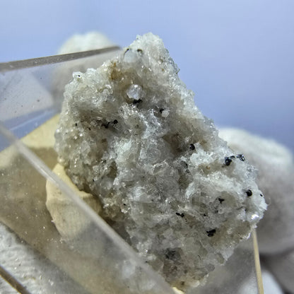 TOP Micromount Mineralien Sammlung Deutschland - 8 Stück Deutschland #8076