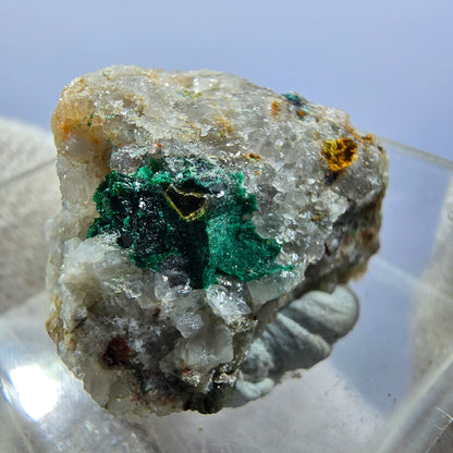 TOP Micromount Mineralien Sammlung Deutschland - 8 Stück Deutschland #8077