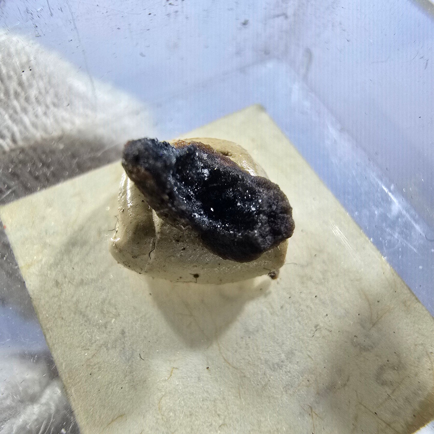 TOP Micromount Mineralien Sammlung Deutschland - 8 Stück Deutschland #8079