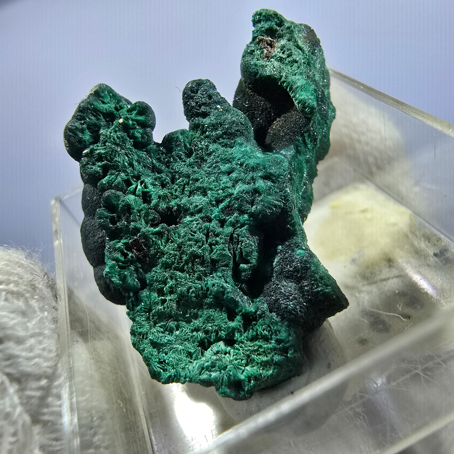 TOP Micromount Mineralien Sammlung Deutschland - 8 Stück Deutschland #8080