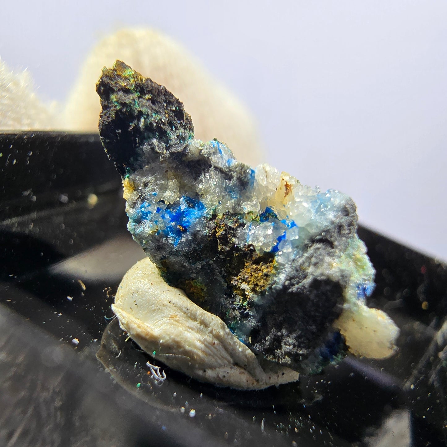 TOP Micromount Mineralien Sammlung Deutschland - 8 Stück Deutschland #8081