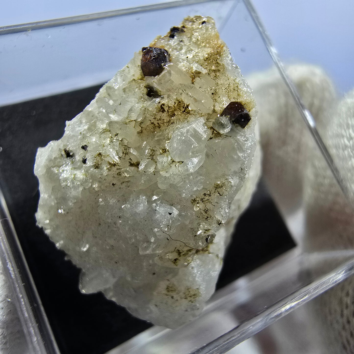 TOP Micromount Mineralien Sammlung Deutschland - 8 Stück Deutschland #8083
